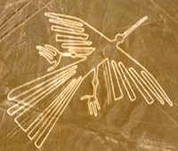 El Colibrí Nasca